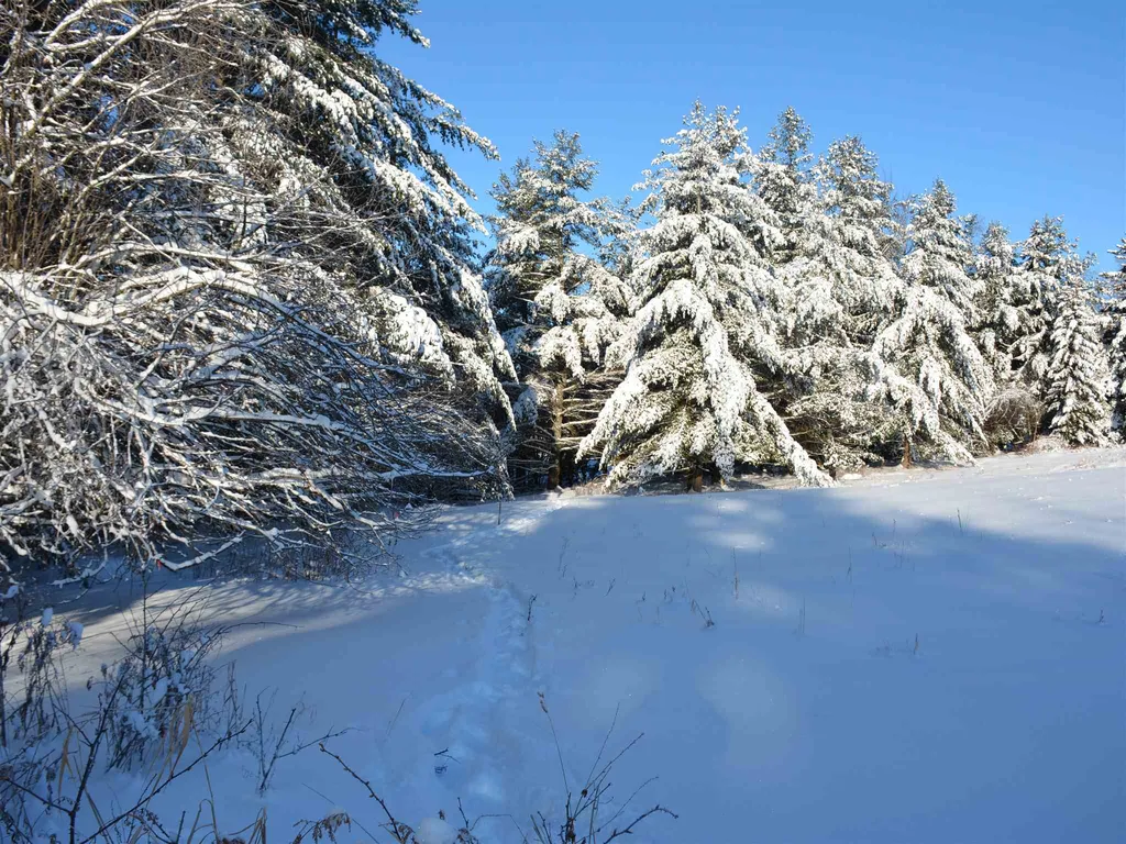 00 Ryle Road Waitsfield VT 05673