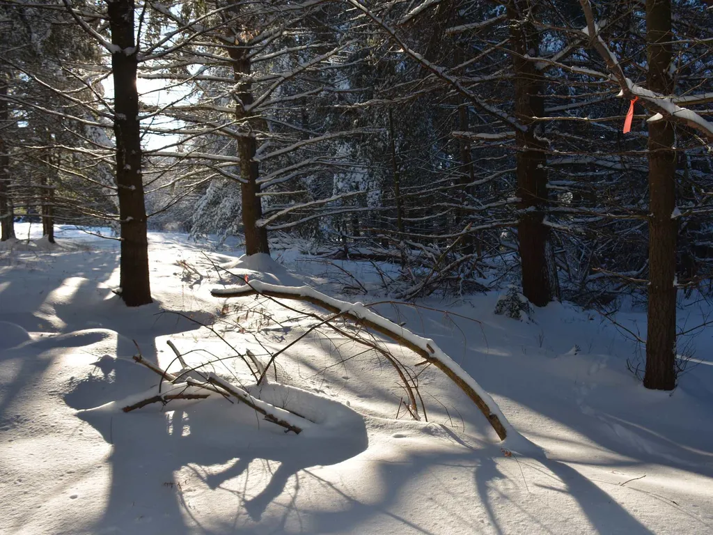 00 Ryle Road Waitsfield VT 05673