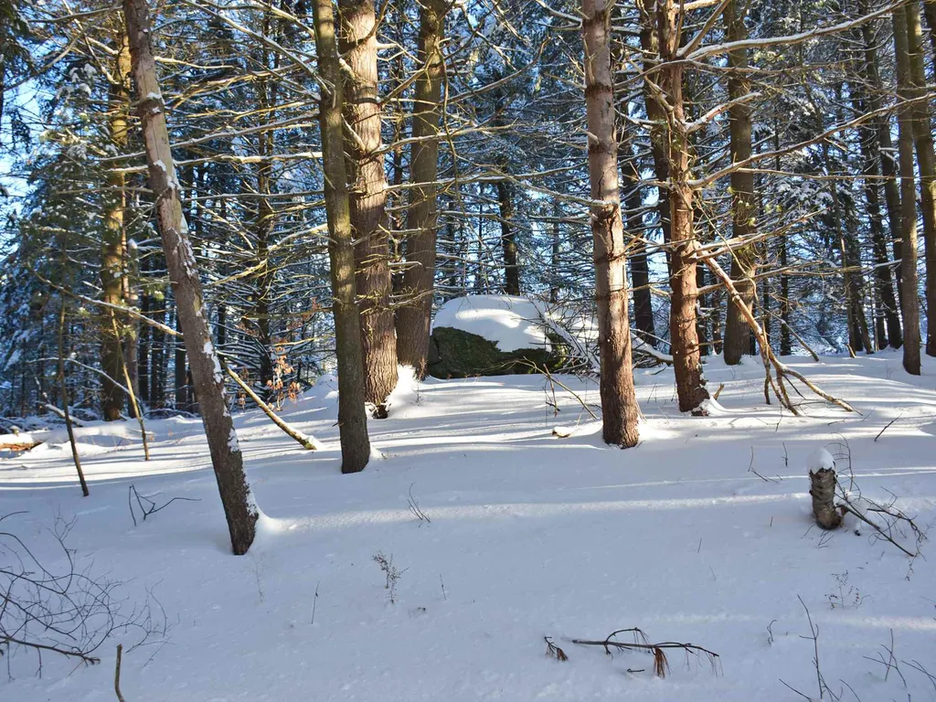 00 Ryle Road Waitsfield VT 05673