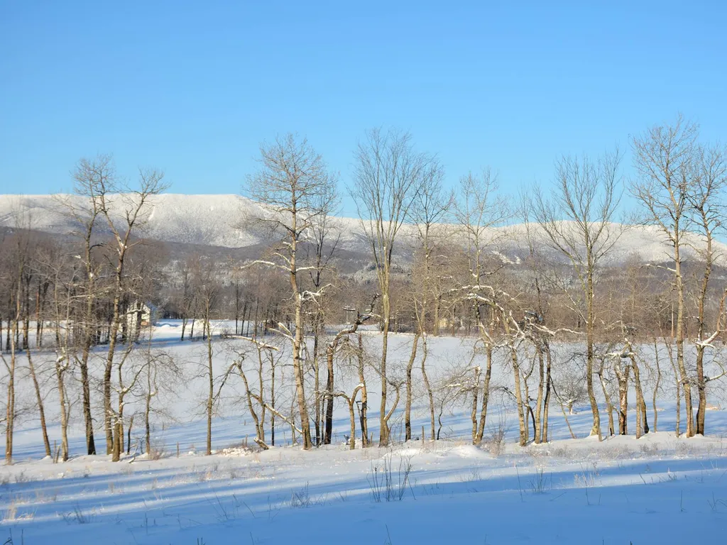 00 Ryle Road Waitsfield VT 05673