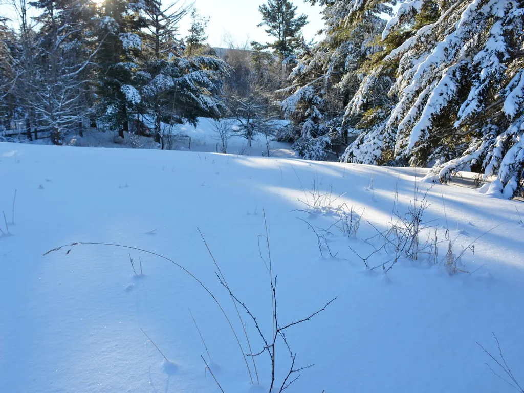 00 Ryle Road Waitsfield VT 05673