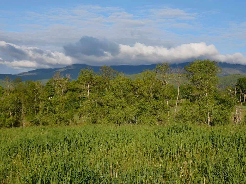 00 Ryle Road Waitsfield VT 05673