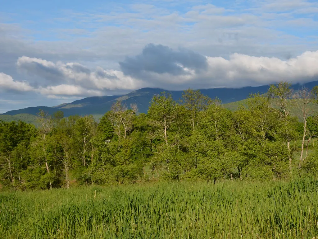 00 Ryle Road Waitsfield VT 05673