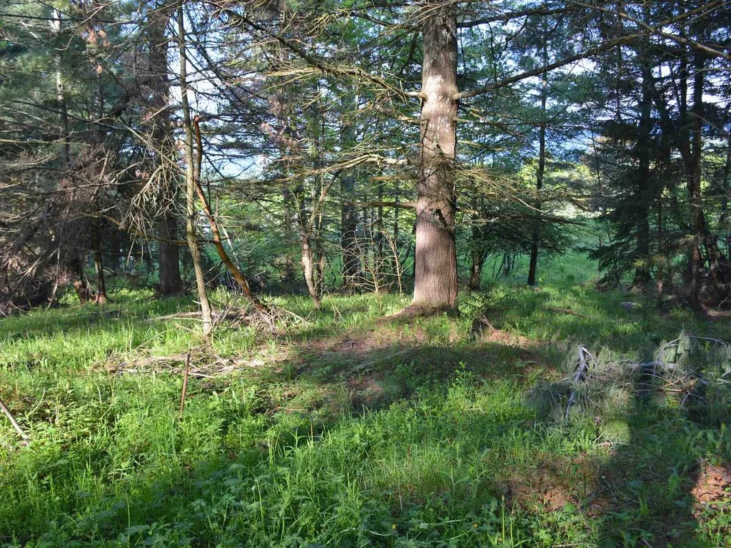 00 Ryle Road Waitsfield VT 05673