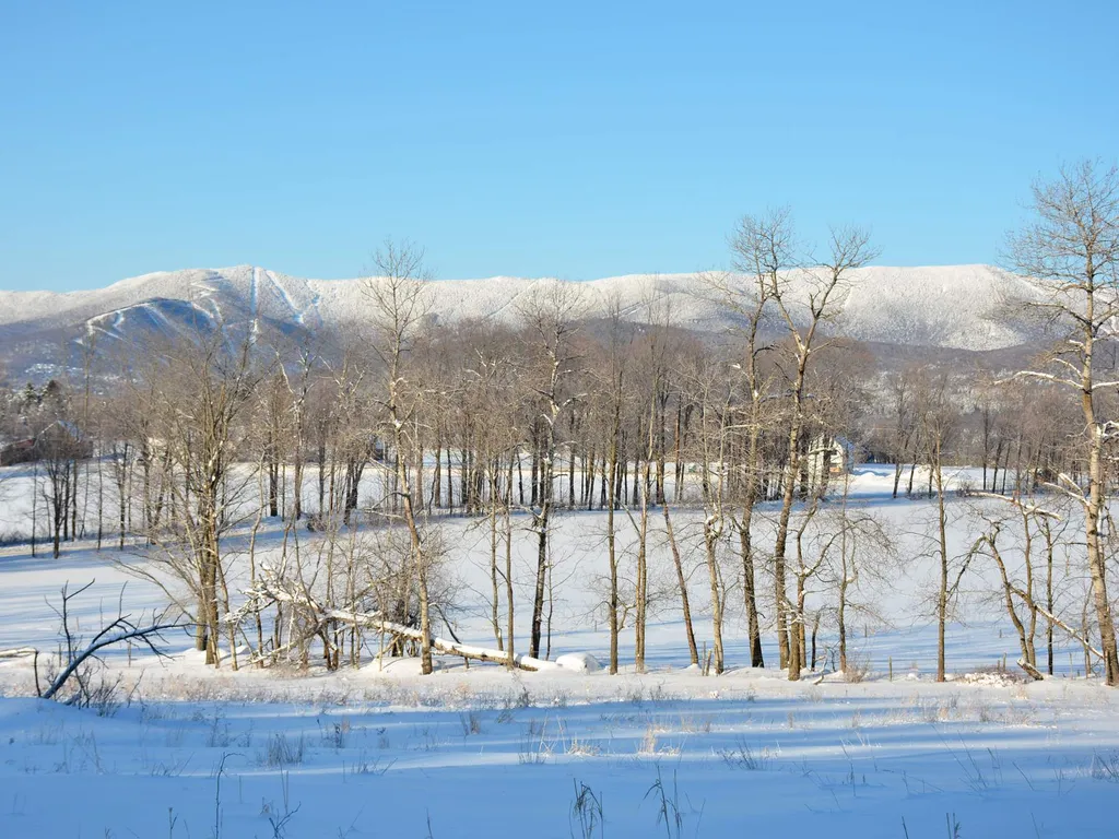 00 Ryle Road Waitsfield VT 05673