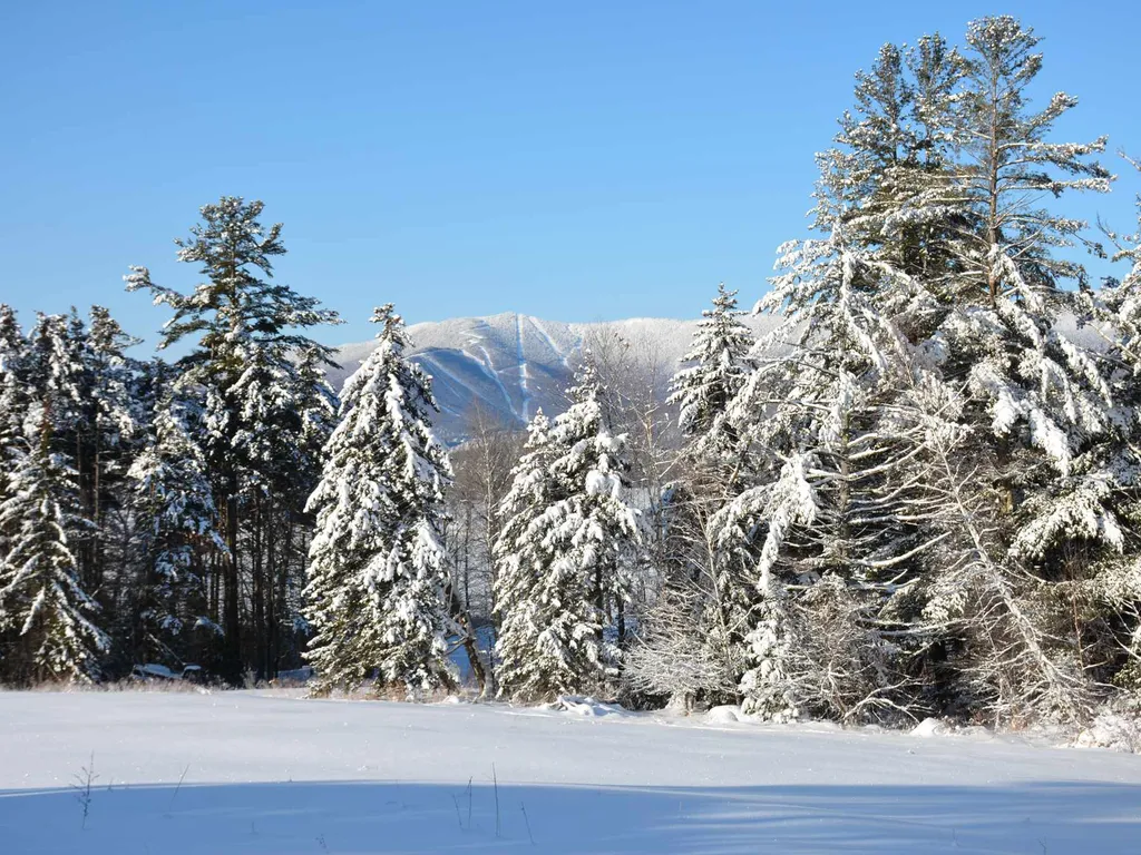 00 Ryle Road Waitsfield VT 05673