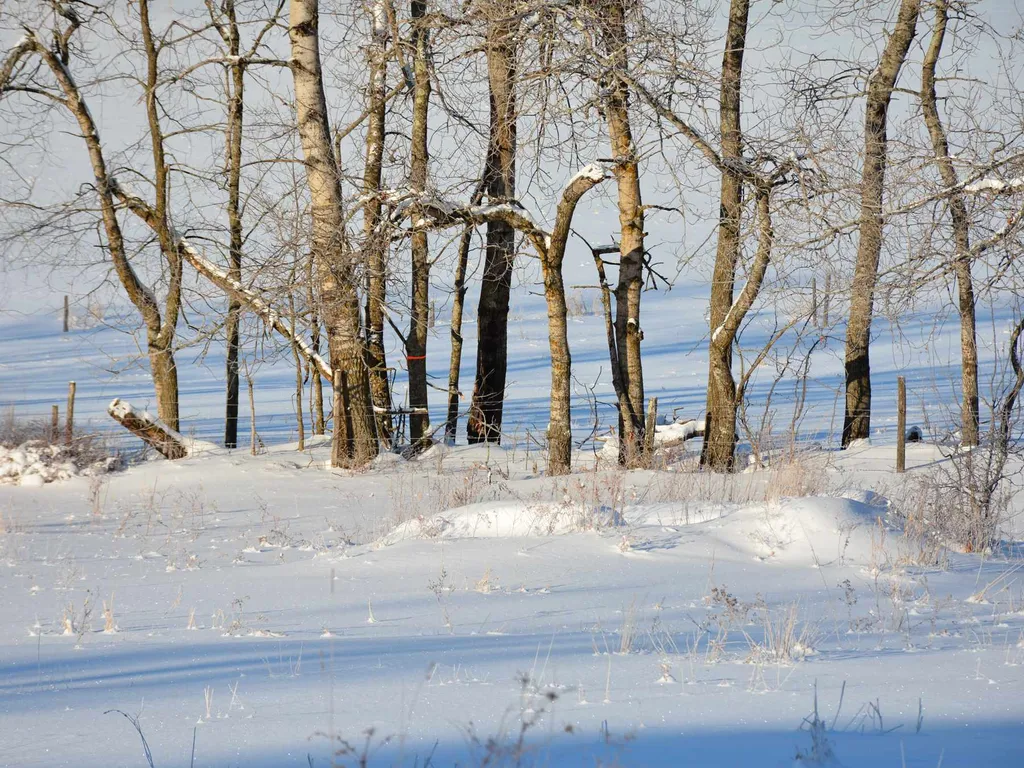 00 Ryle Road Waitsfield VT 05673