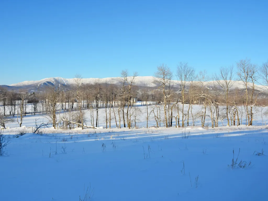 00 Ryle Road Waitsfield VT 05673