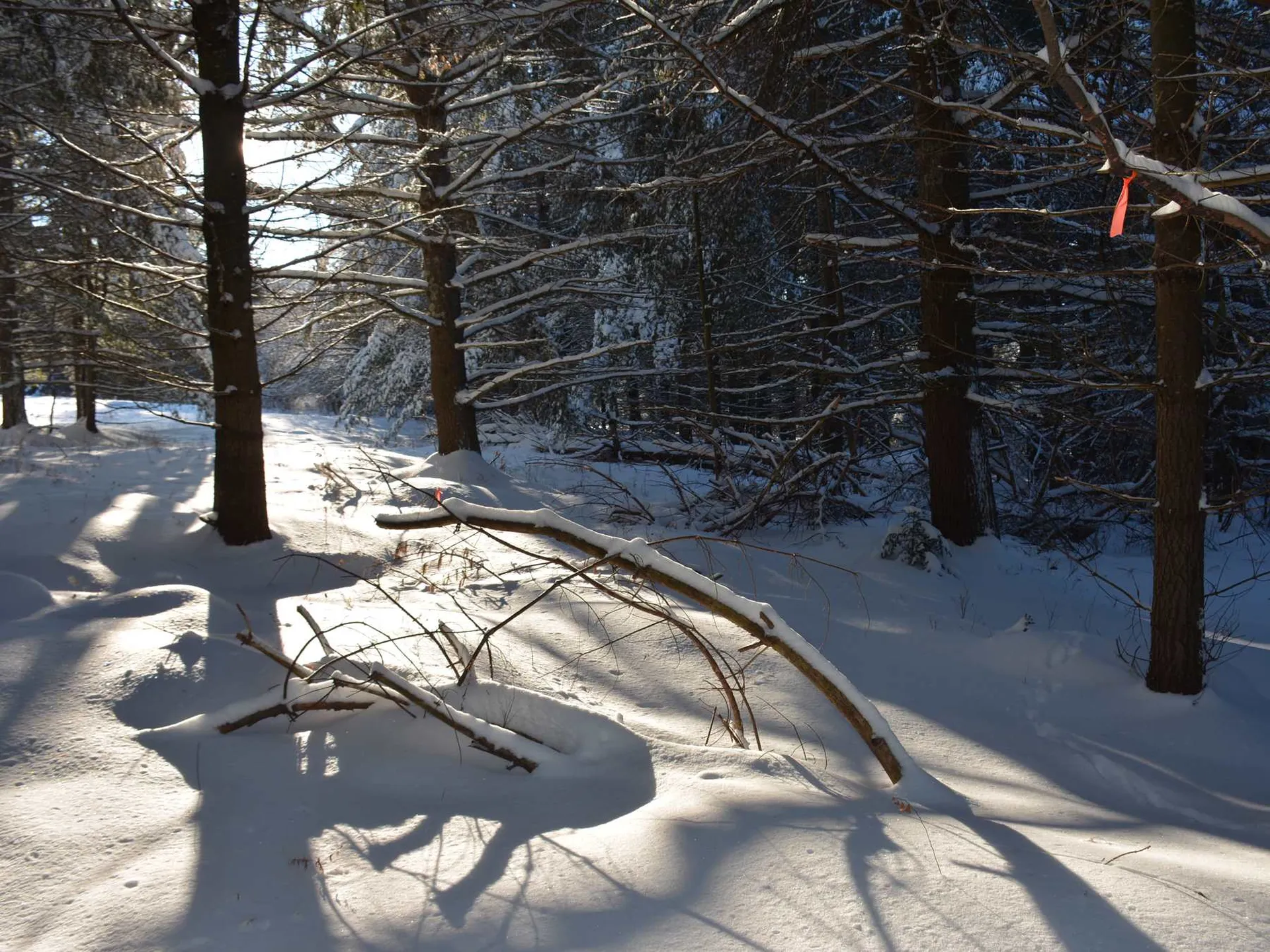 00 Ryle Road Waitsfield VT 05673