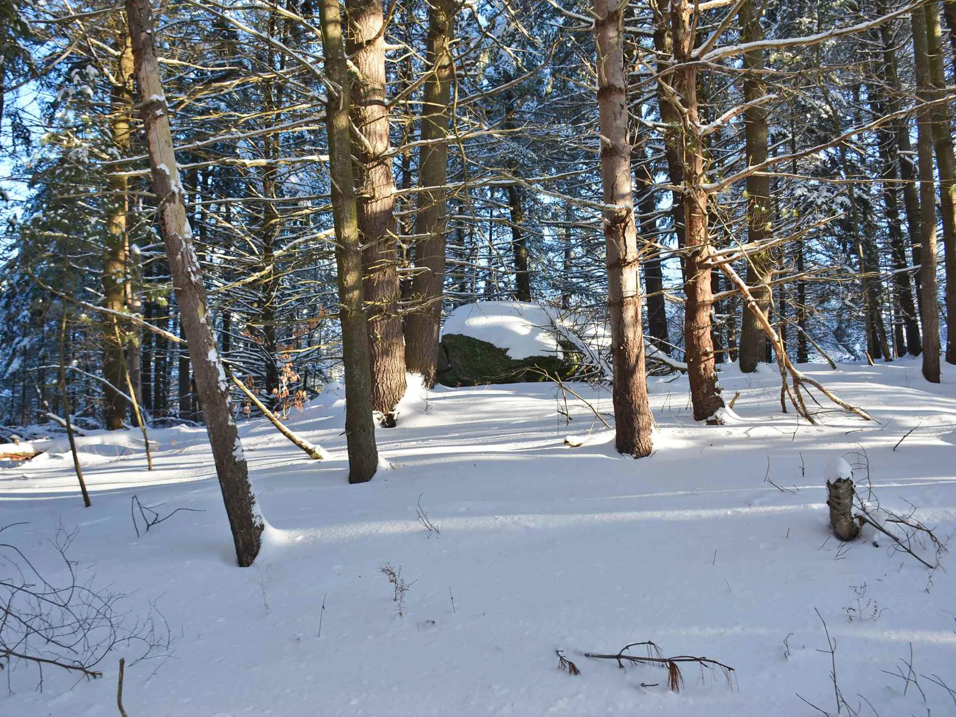 00 Ryle Road Waitsfield VT 05673