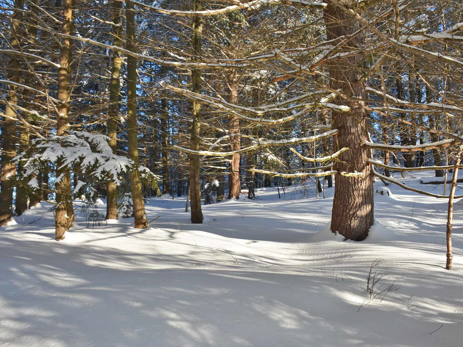 00 Ryle Road Waitsfield VT 05673