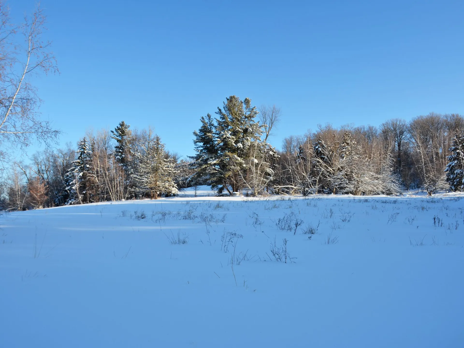 00 Ryle Road Waitsfield VT 05673