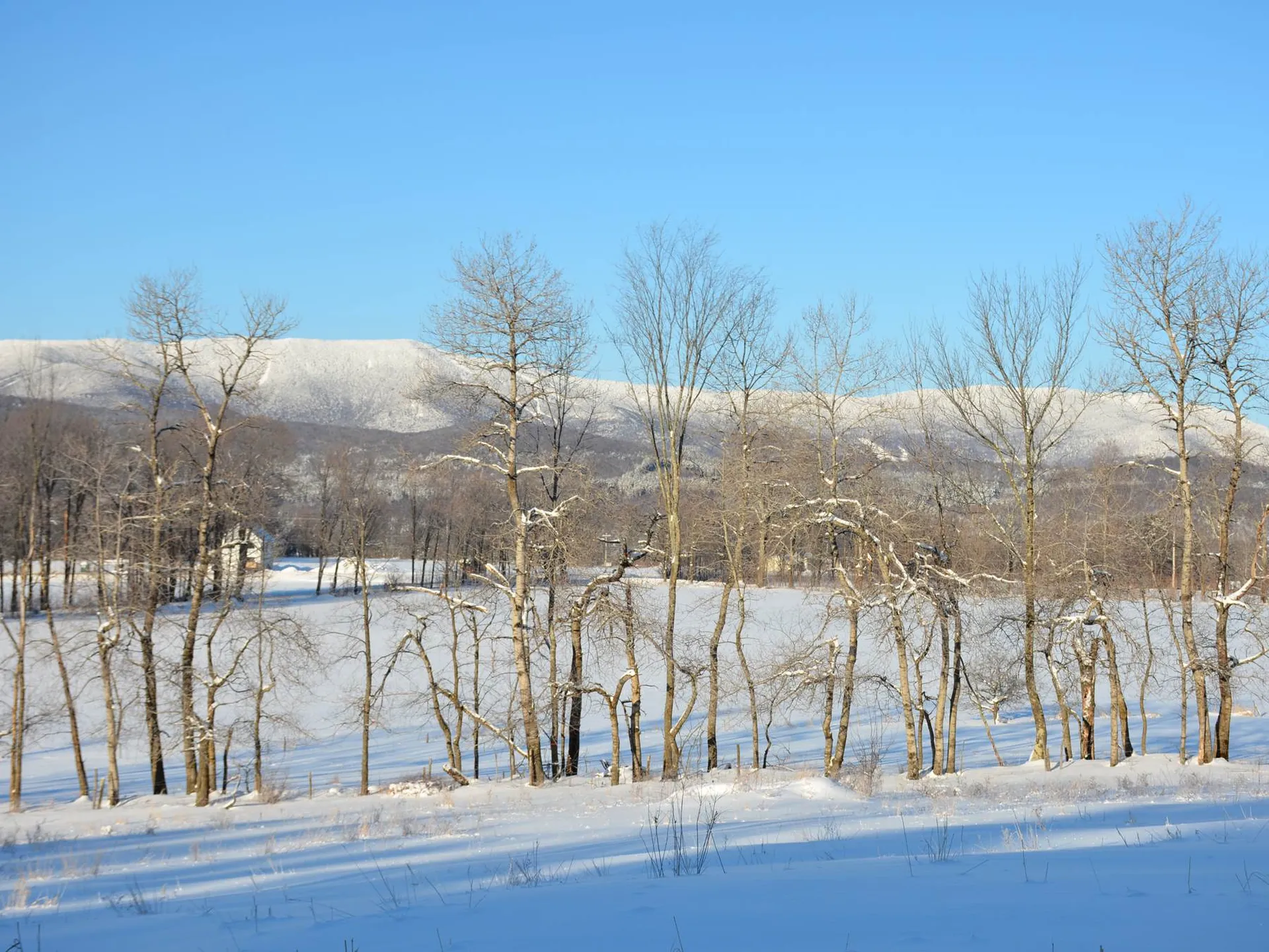 00 Ryle Road Waitsfield VT 05673