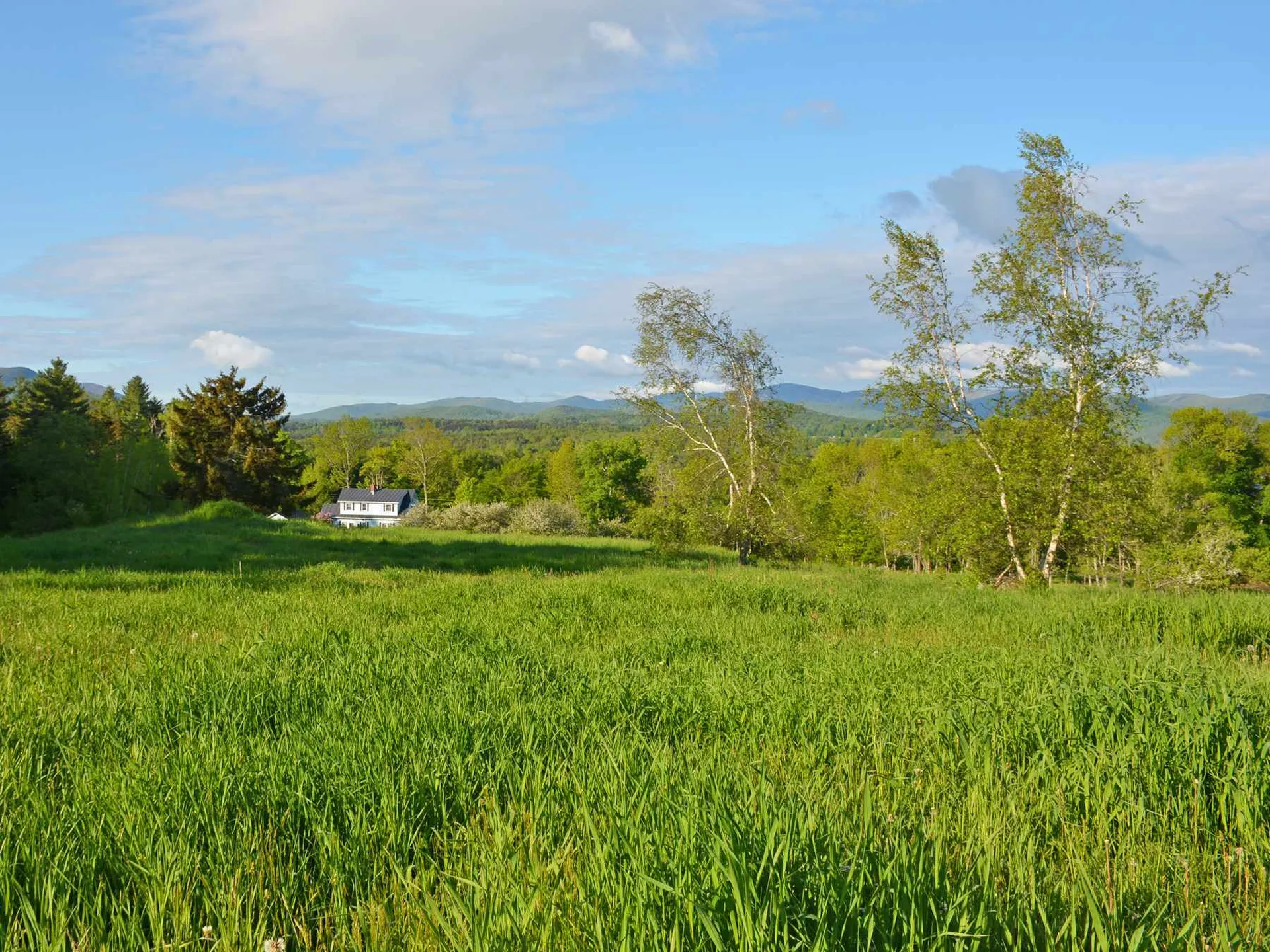 00 Ryle Road Waitsfield VT 05673