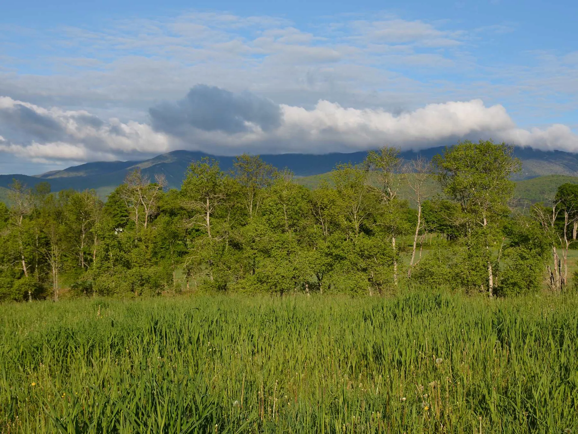 00 Ryle Road Waitsfield VT 05673