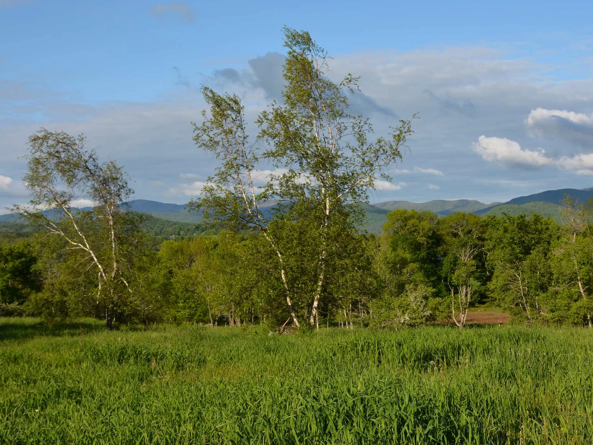 00 Ryle Road Waitsfield VT 05673