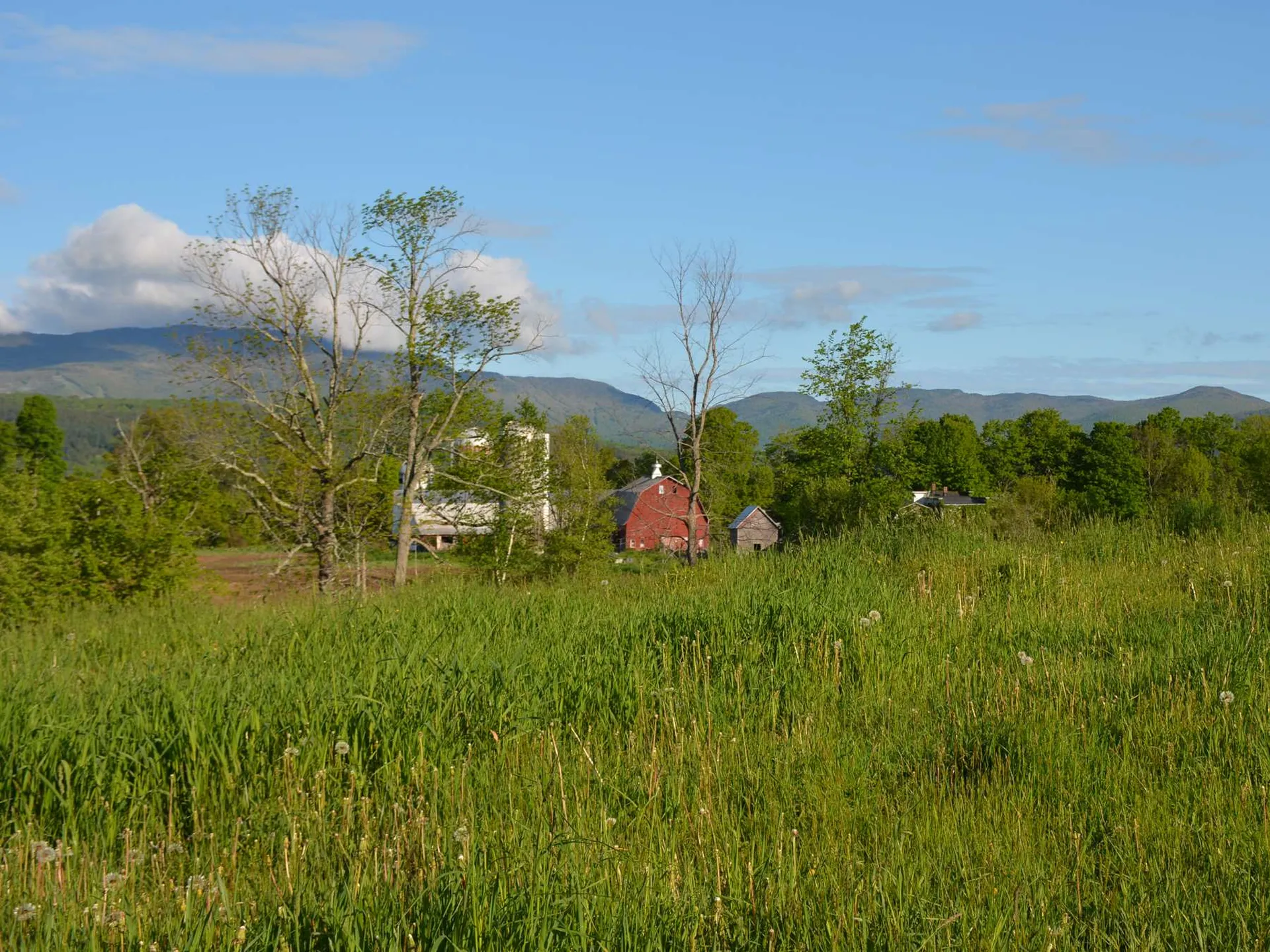 00 Ryle Road Waitsfield VT 05673