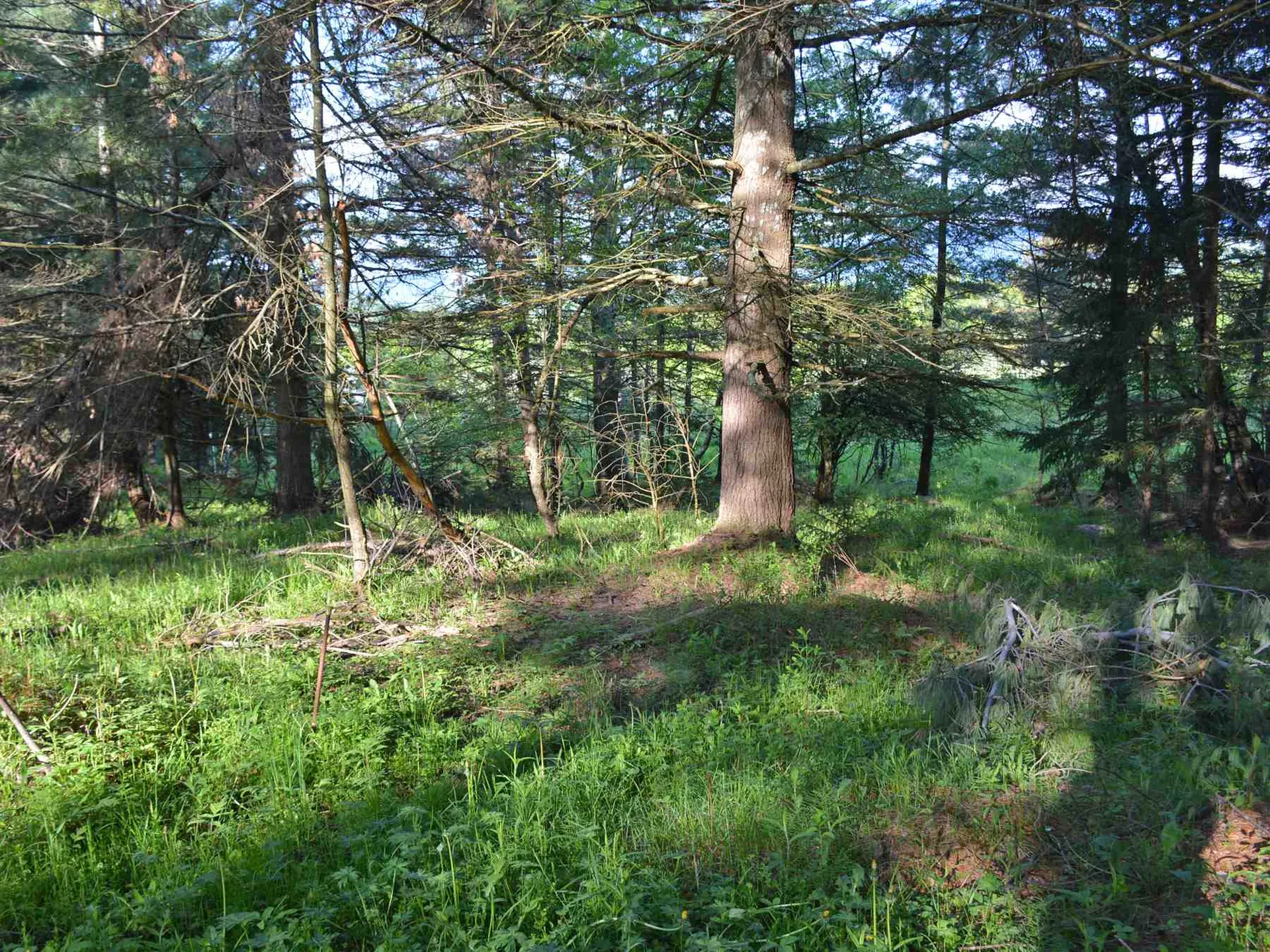 00 Ryle Road Waitsfield VT 05673