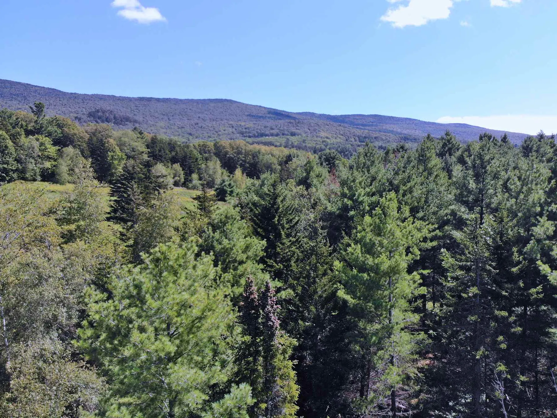 00 Ryle Road Waitsfield VT 05673