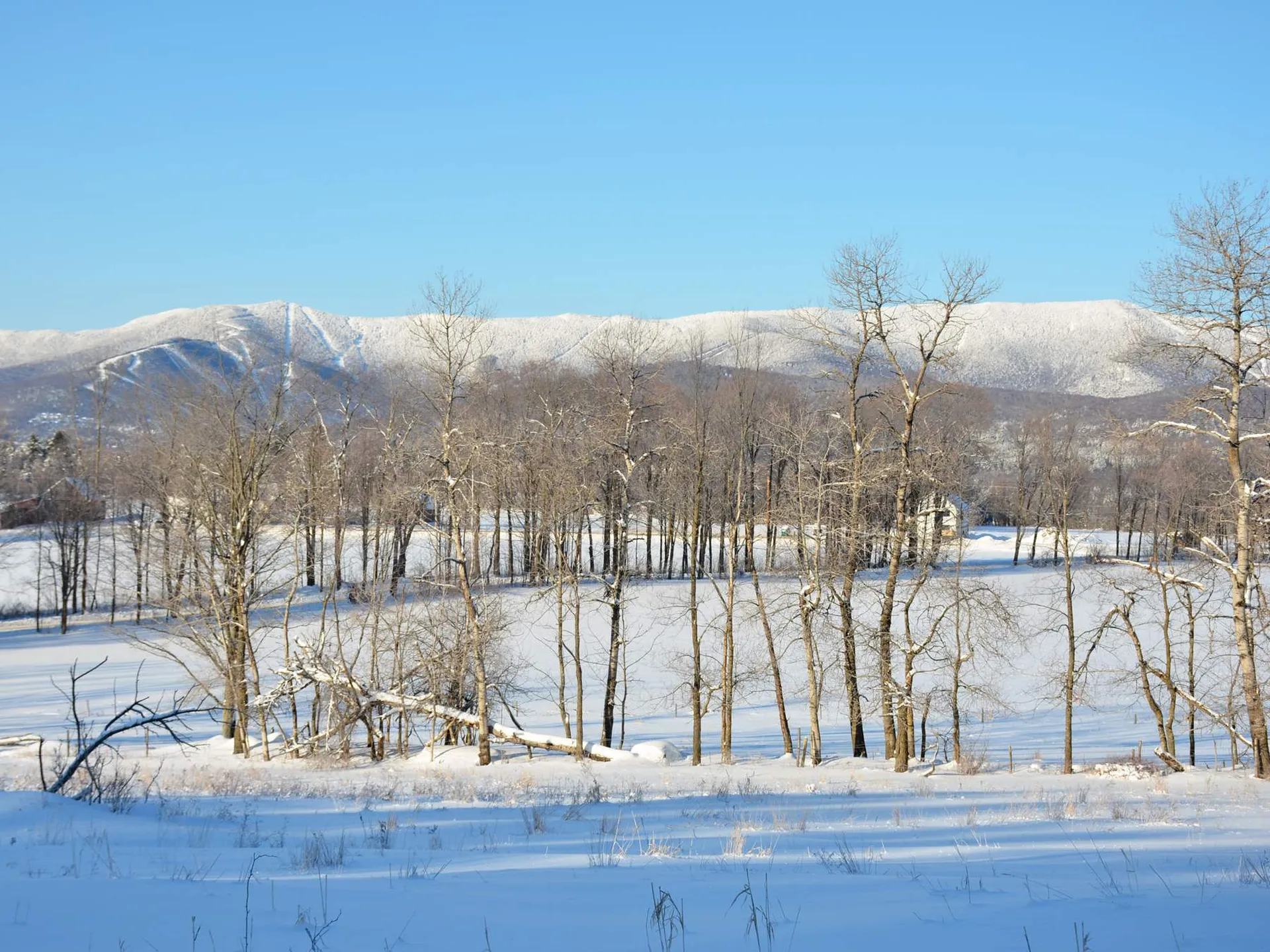 00 Ryle Road Waitsfield VT 05673