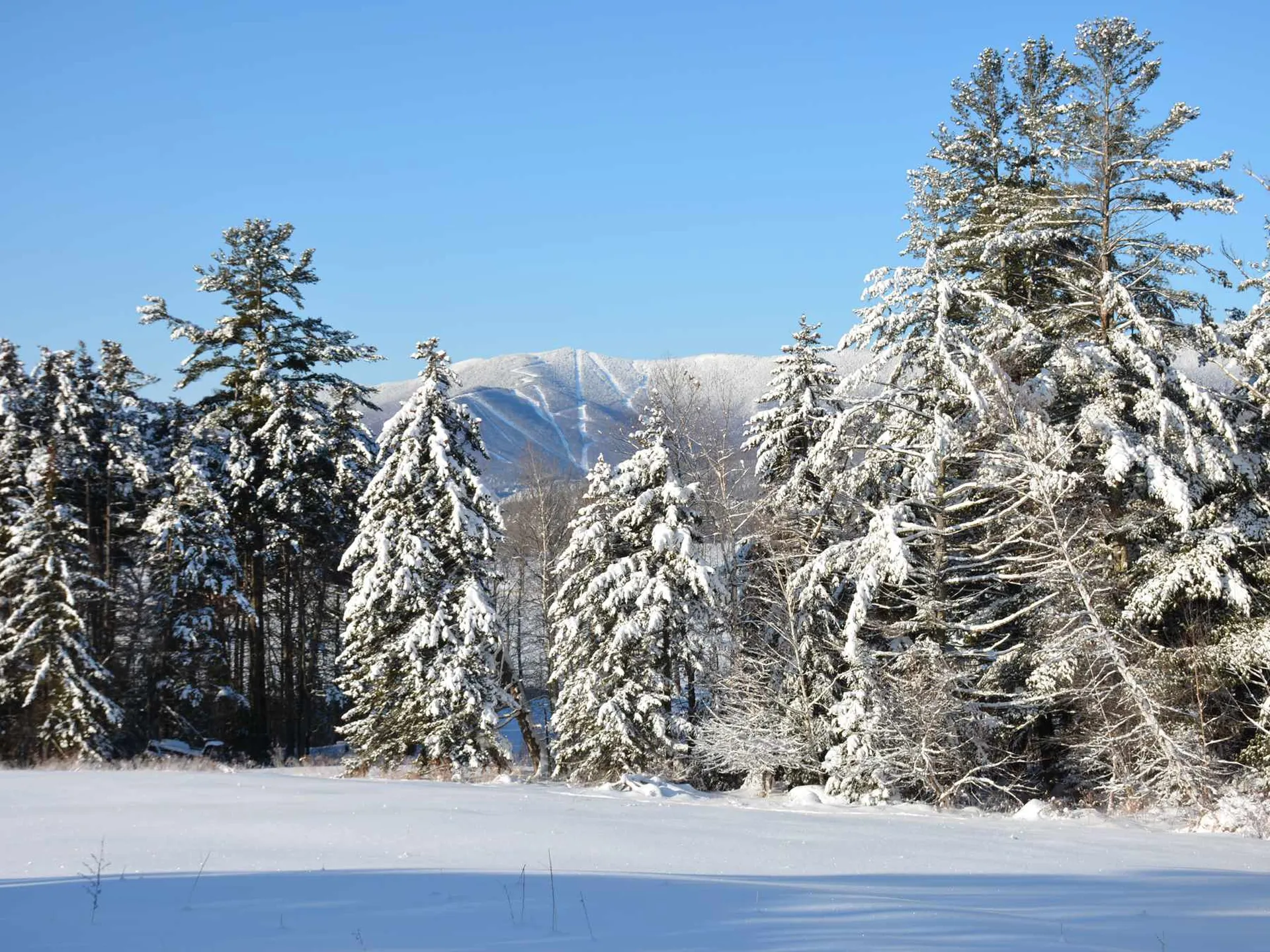 00 Ryle Road Waitsfield VT 05673