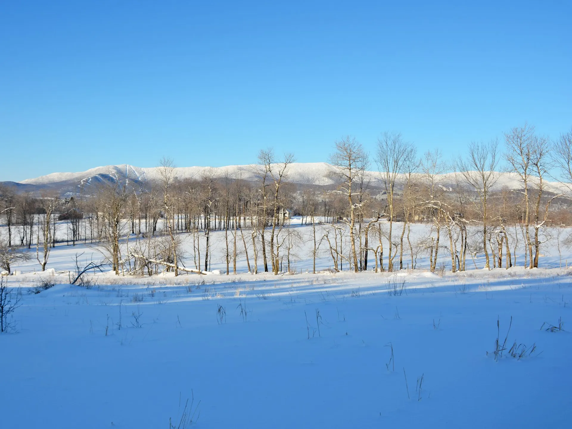 00 Ryle Road Waitsfield VT 05673