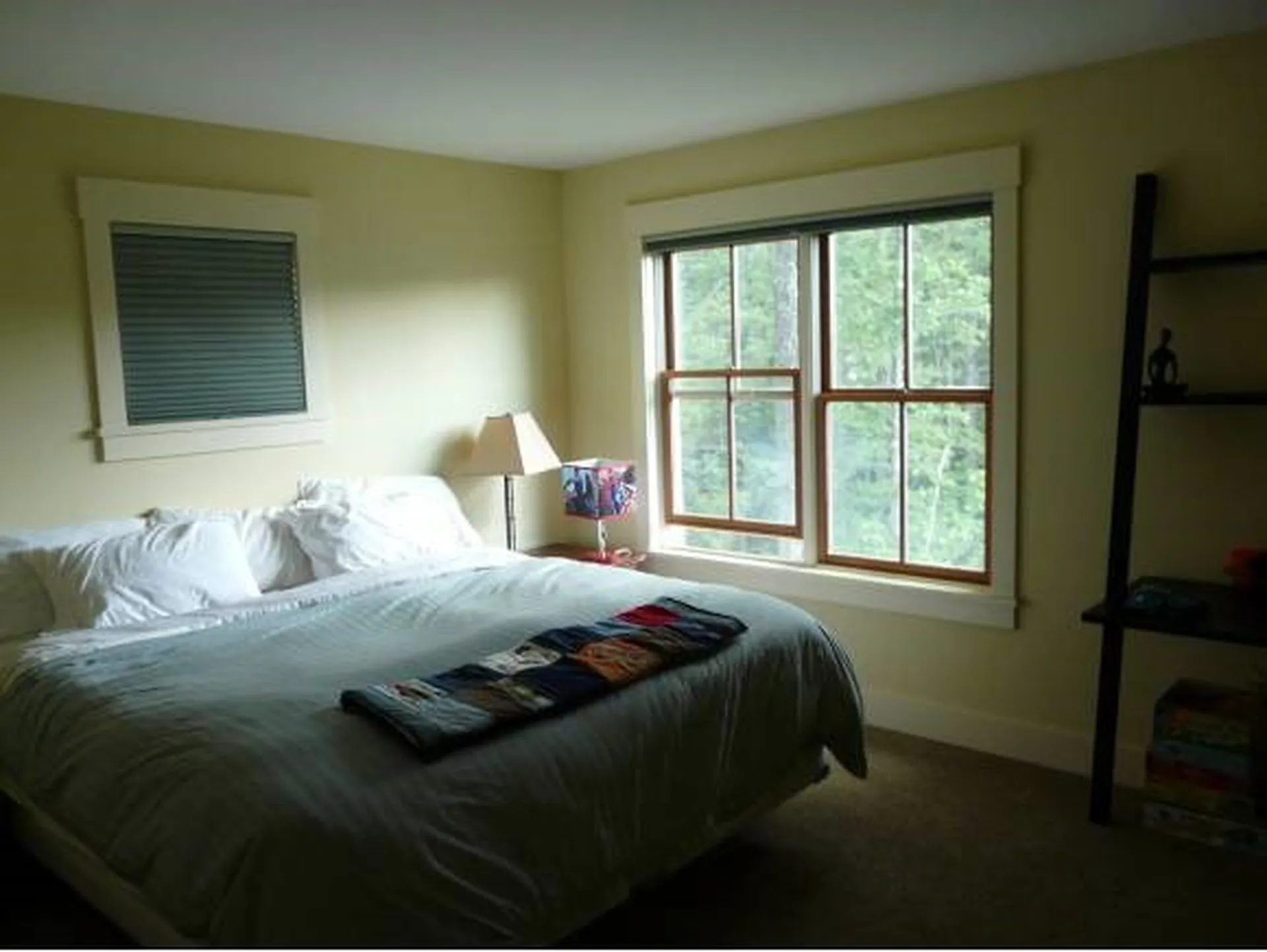 131 Purple Briar Lane Warren VT 05674