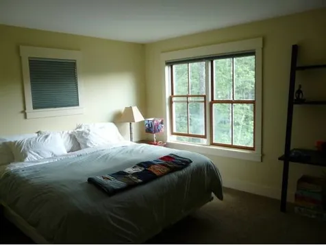 131 Purple Briar Lane Warren VT 05674