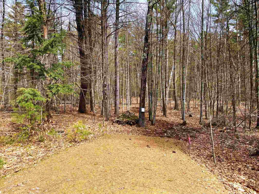 71 Blueberry Hill Lane Gilford NH 03249