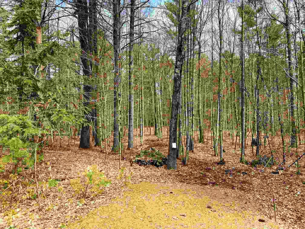 71 Blueberry Hill Lane Gilford NH 03249