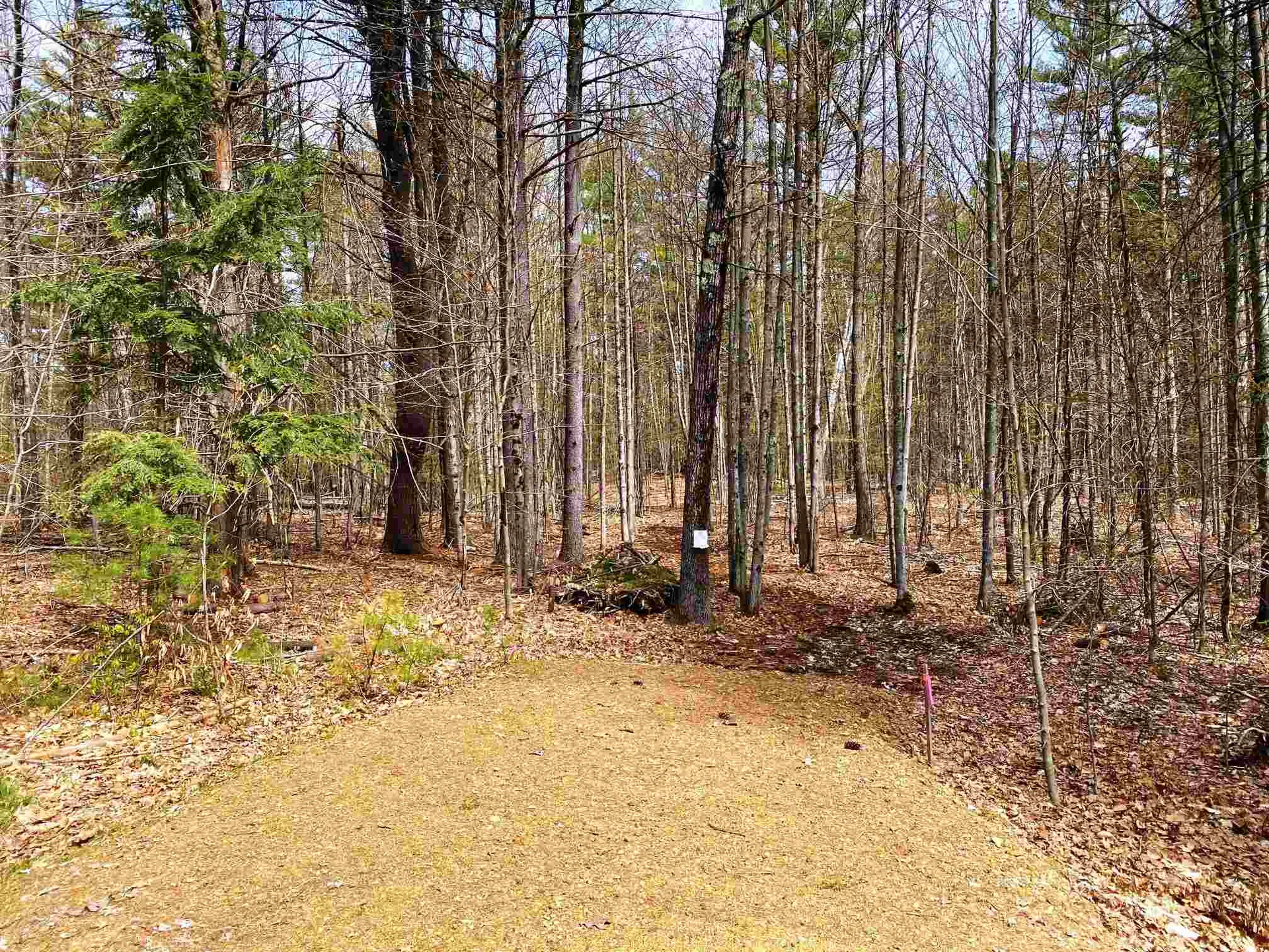 71 Blueberry Hill Lane Gilford NH 03249