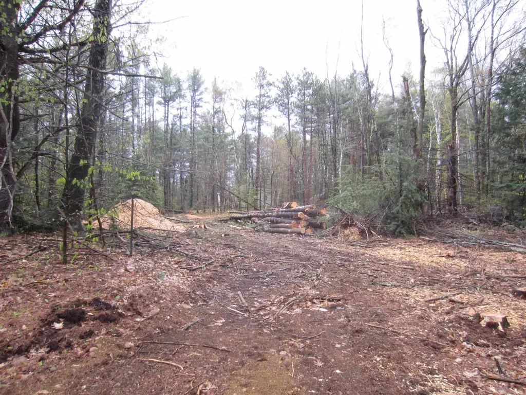 479 Drake Hill Road Strafford NH 03884