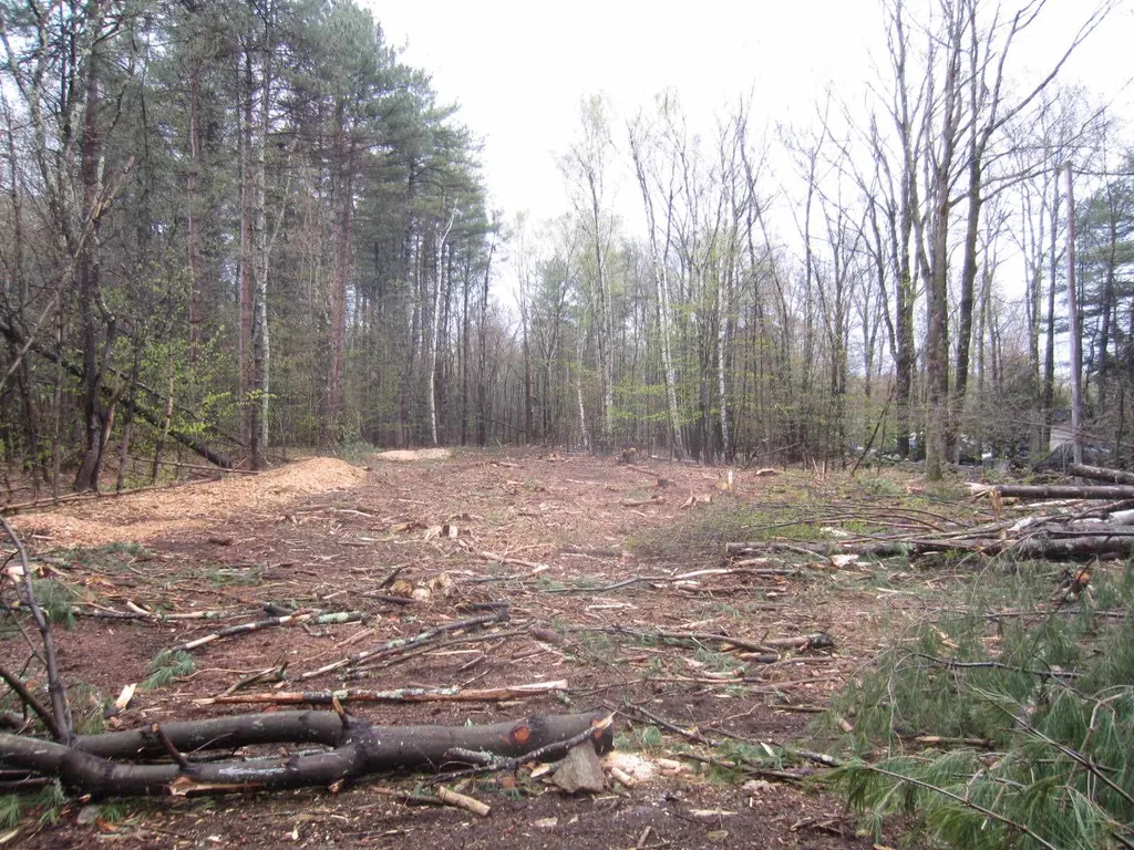 479 Drake Hill Road Strafford NH 03884