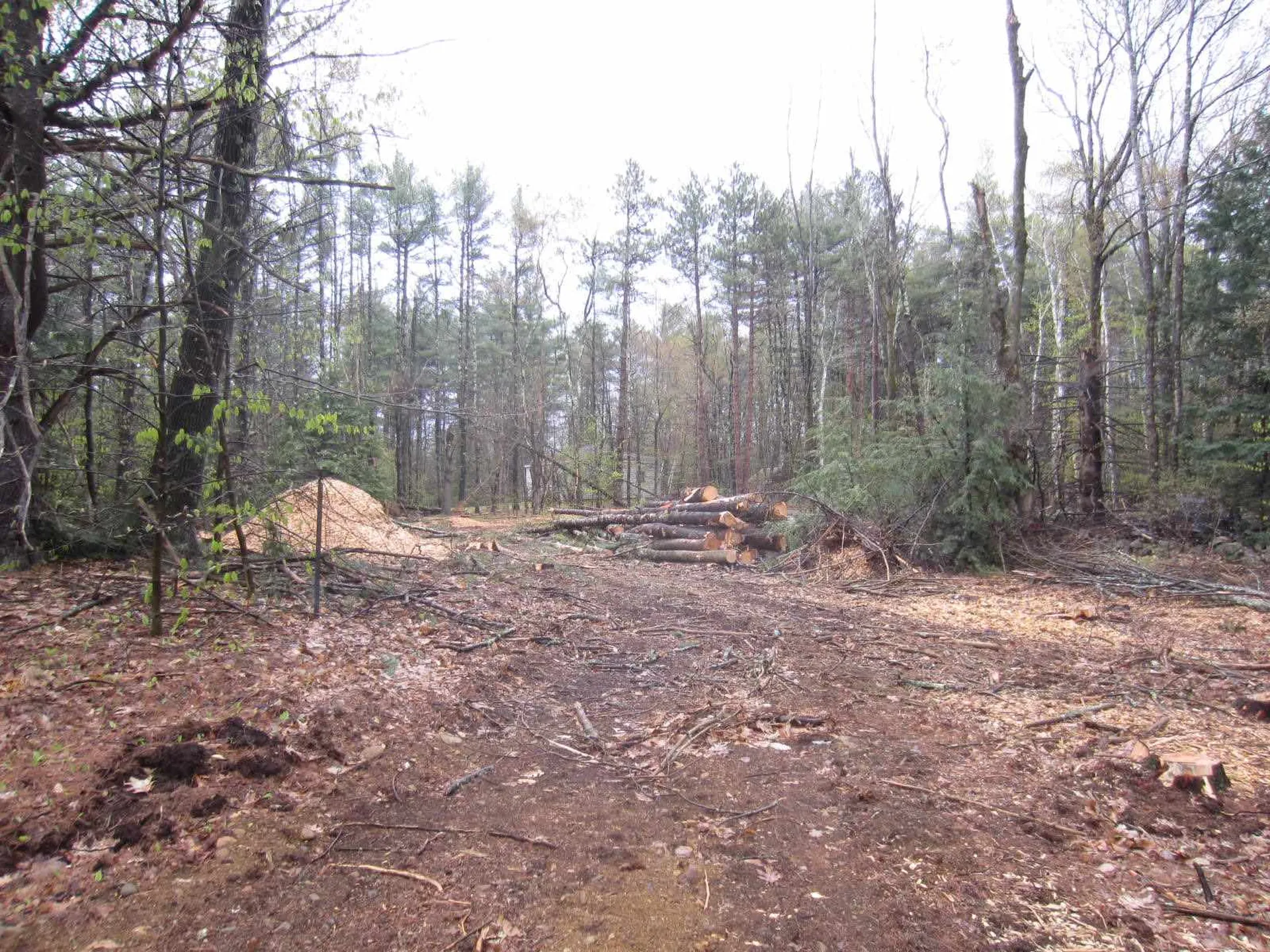 479 Drake Hill Road Strafford NH 03884