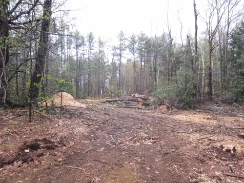 479 Drake Hill Road Strafford NH 03884