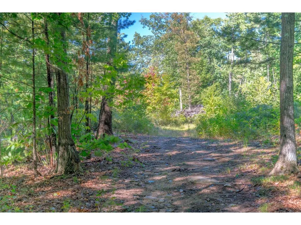 15-5 Ledgewood Drive Derry NH 03038