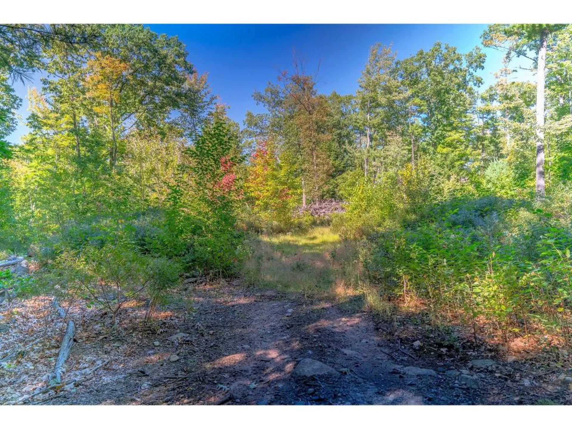 15-5 Ledgewood Drive Derry NH 03038