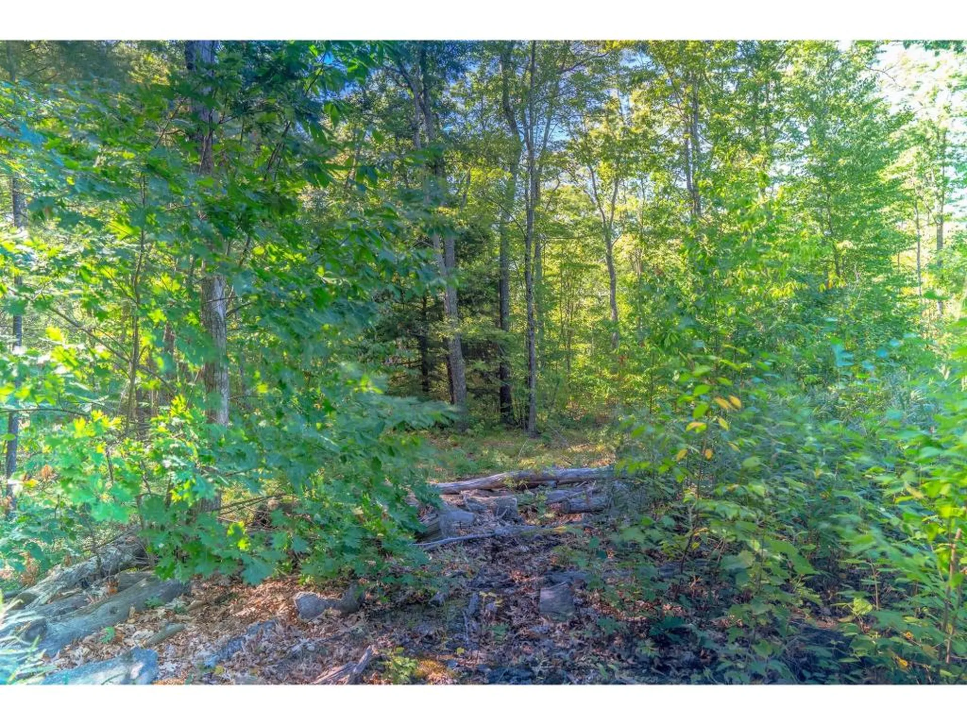 15-5 Ledgewood Drive Derry NH 03038