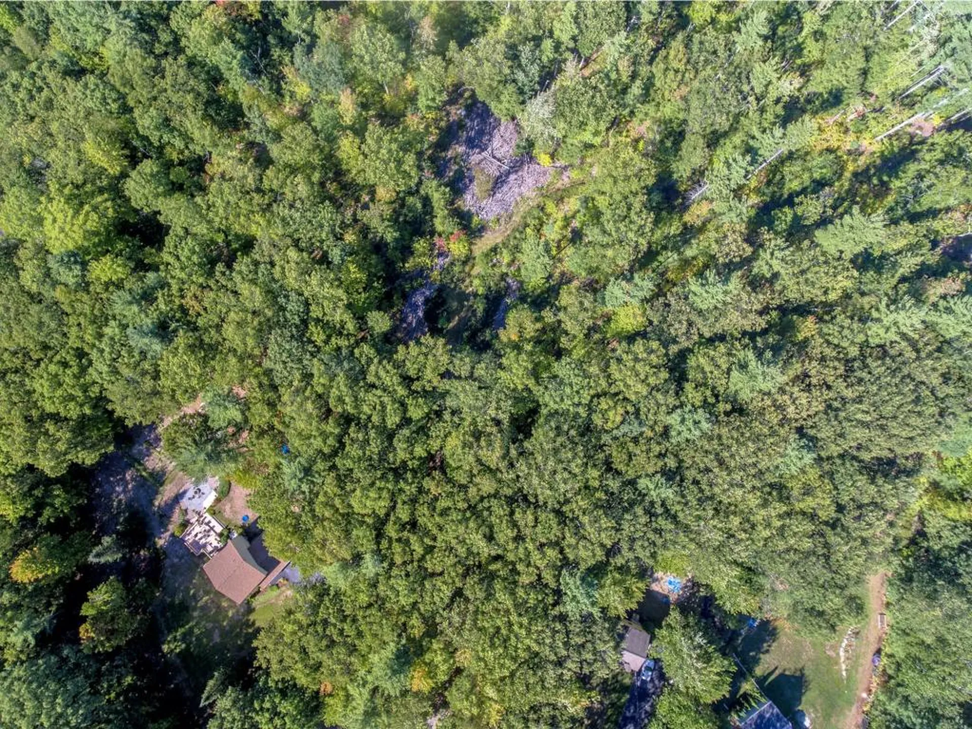 15-5 Ledgewood Drive Derry NH 03038