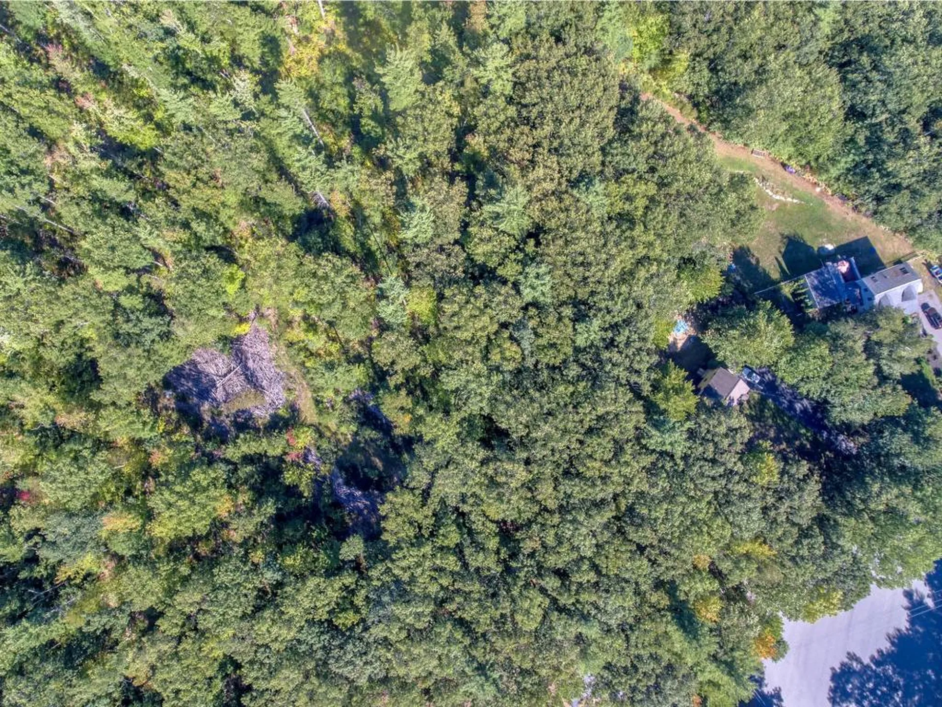 15-5 Ledgewood Drive Derry NH 03038