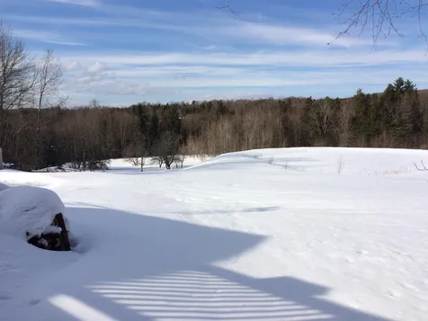 647 Danville Hill Road Cabot VT 05647