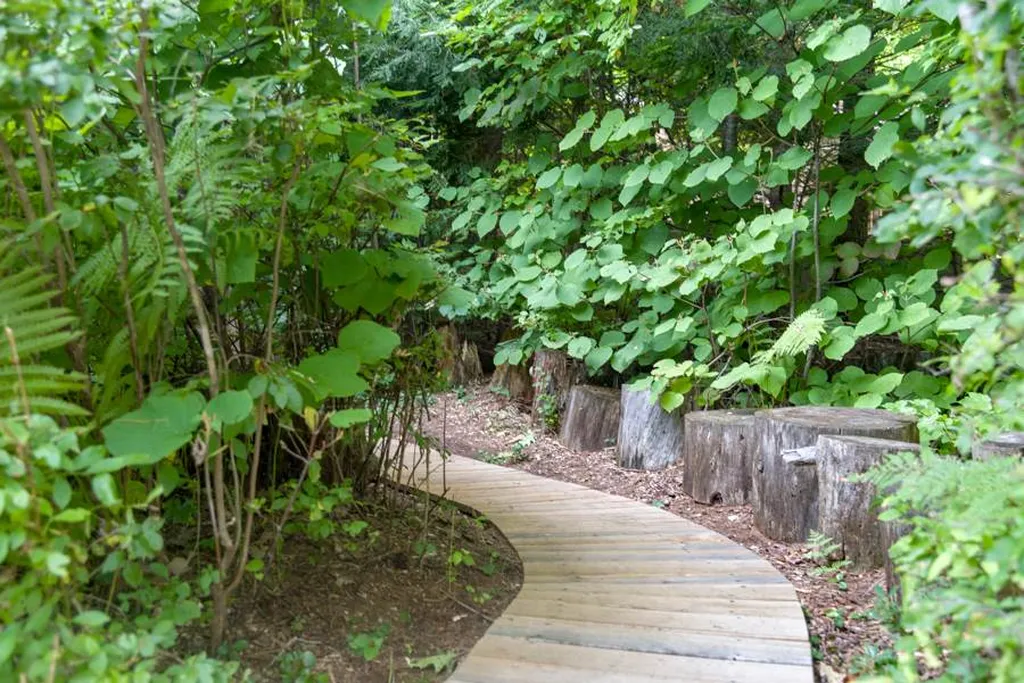 20 Pipers Point Lane Alton NH 03809
