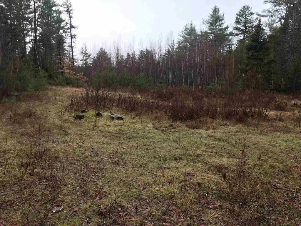 191 Wilkinson Swamp Road Effingham NH 03882