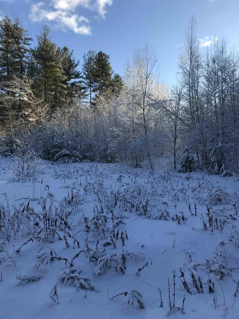 191 Wilkinson Swamp Road Effingham NH 03882