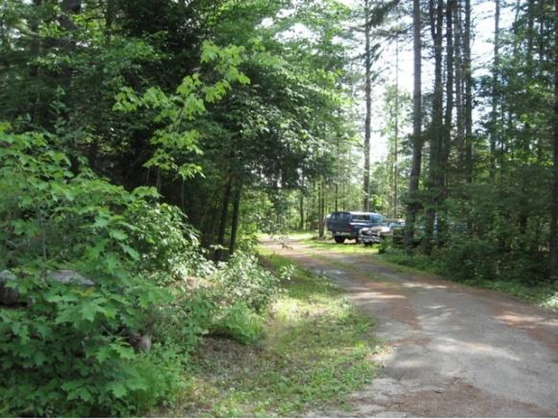 191 Wilkinson Swamp Road Effingham NH 03882