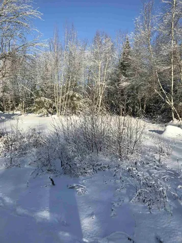 191 Wilkinson Swamp Road Effingham NH 03882