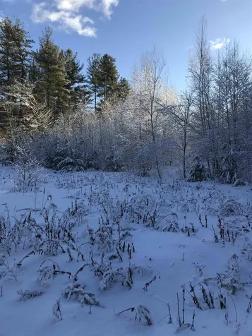 191 Wilkinson Swamp Road Effingham NH 03882