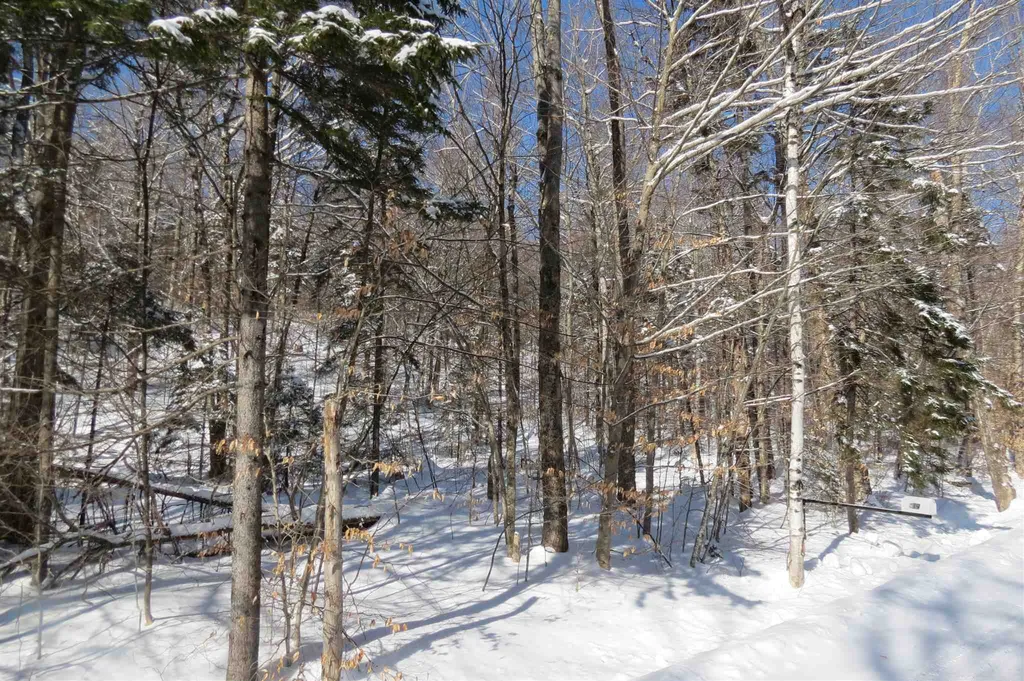 00 Chapman Road Ludlow VT 05149