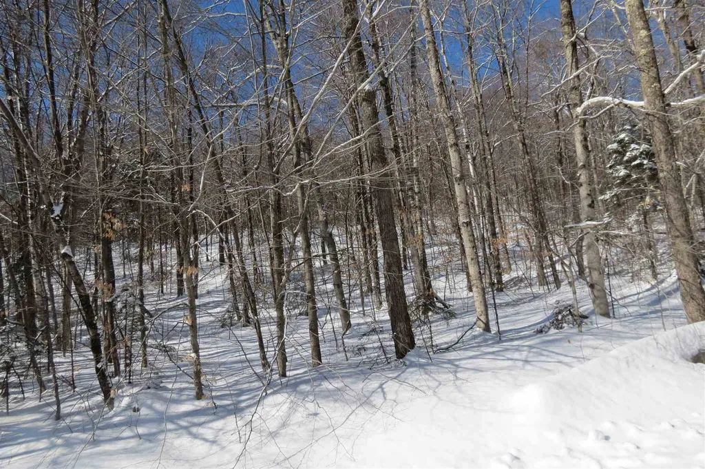 00 Chapman Road Ludlow VT 05149
