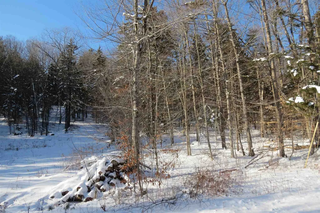 00 Chapman Road Ludlow VT 05149